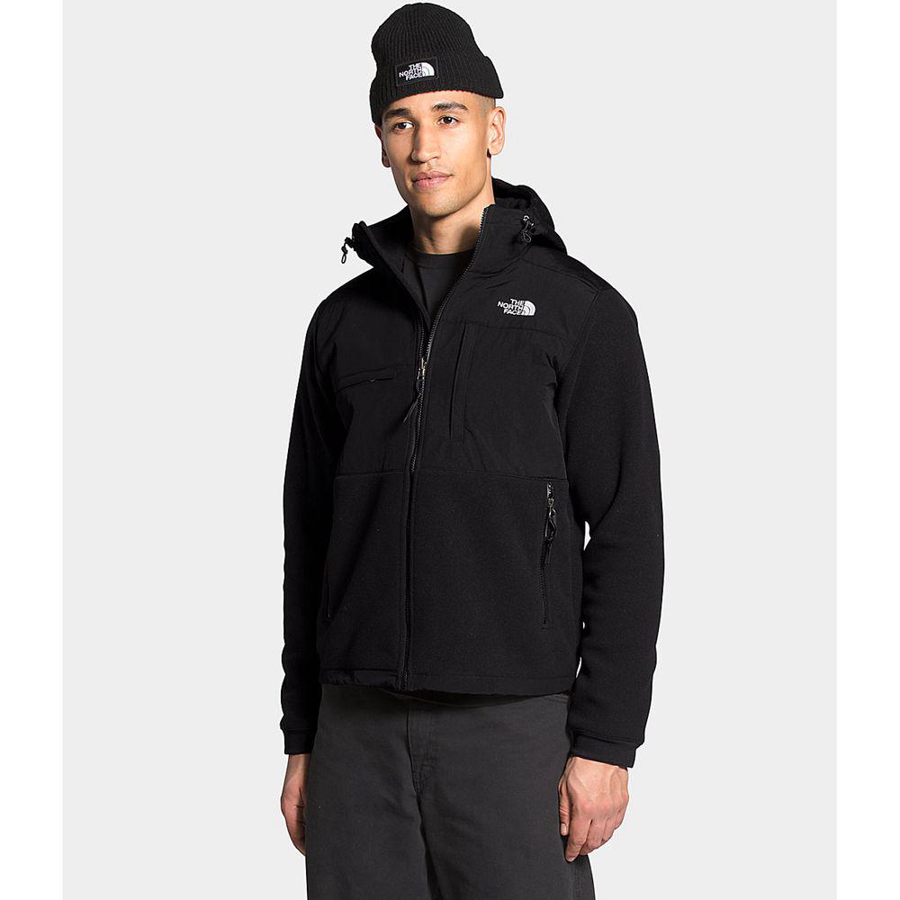 The North Face Denali 2 Ανδρικα Φούτερ Hoodie - Μαυρα (UCGM18347)